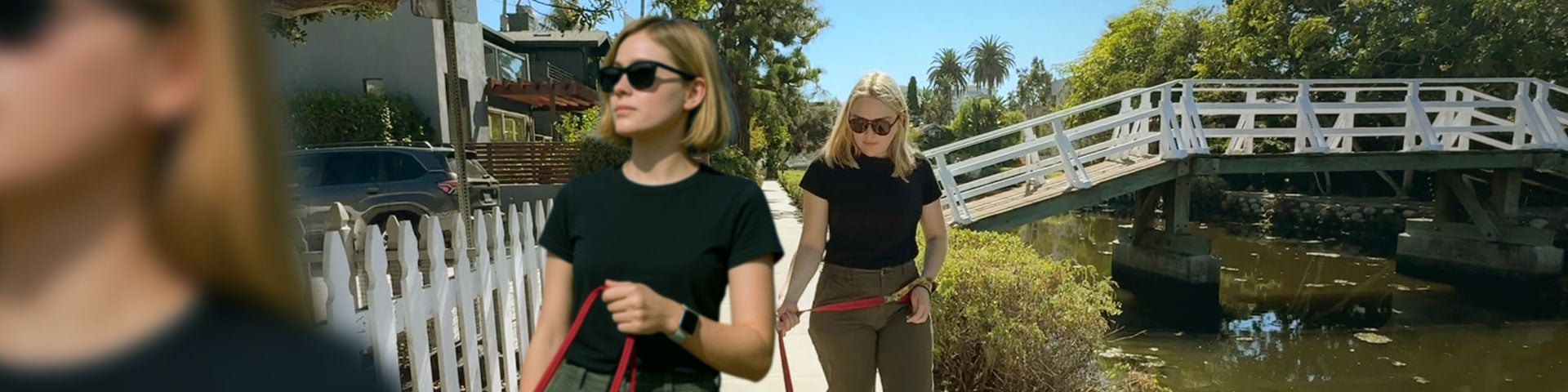 Similarly dressed women walking their dogs
