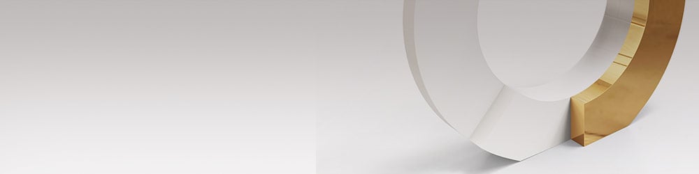 ANA ECHO Award