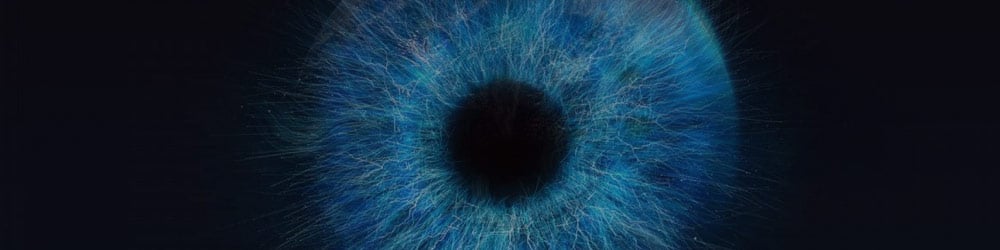Teads Eye