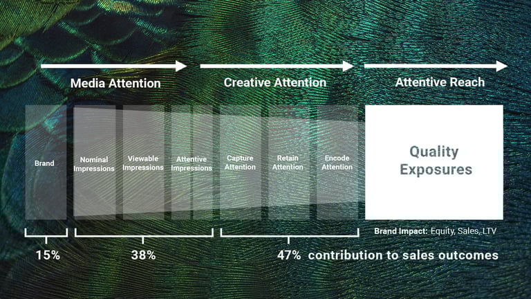 Attentive Reach Diagram with Peacock Feathers in Background